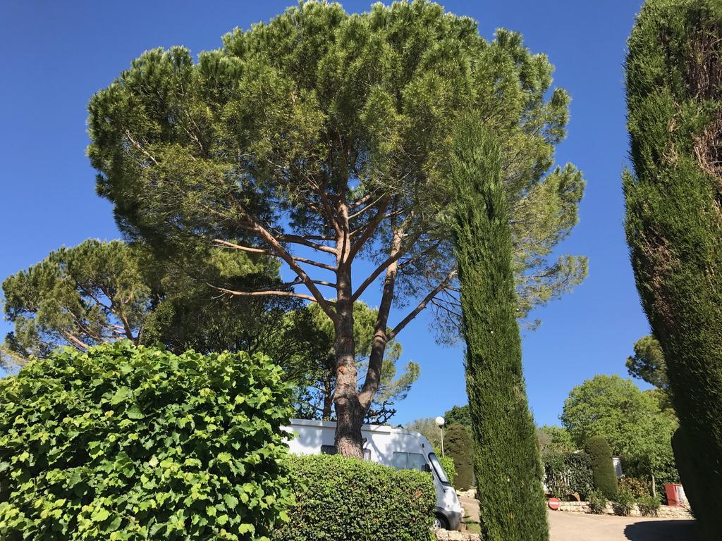 Camping La Paoute Grasse Exteriör bild